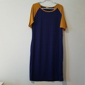 LulaRoe Julia dress!